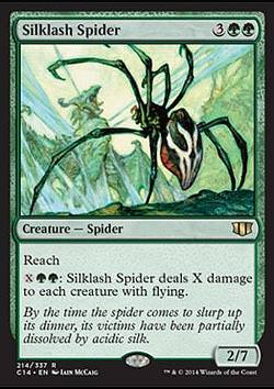 Silklash Spider (Seidenpeitschen-Spinne)